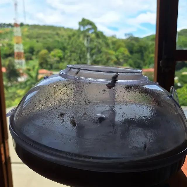 Tanque da extratora com água suja após higienização de estofado