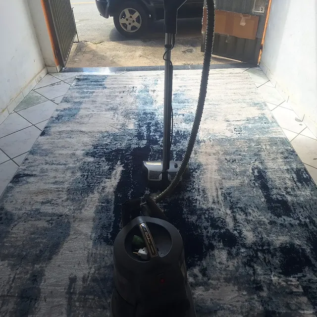 Extratora profissional lavando tapete azul em domicílio